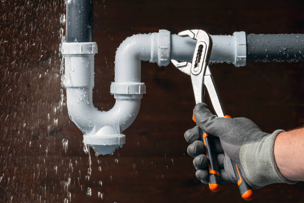 Professional Plumbing technician working in Armada, MI
